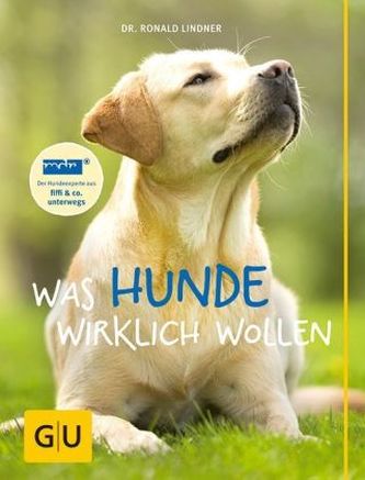 Was Hunde wirklich wollen