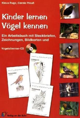 Kinder lernen Vögel kennen, m. Vogelstimmen-Audio-CD