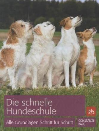 Die schnelle Hundeschule