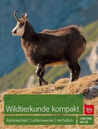 Wildtierkunde kompakt