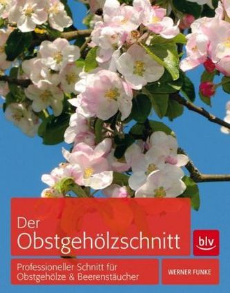 Der Obstgehölzschnitt