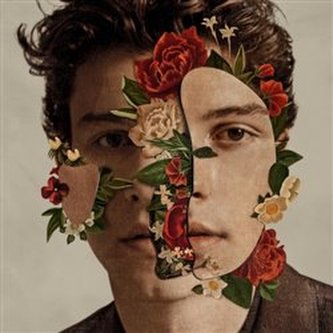 Shawn Mendes - LP
