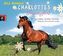 Charlottes Traumpferd - Erste Liebe, erstes Turnier, 4 Audio-CDs