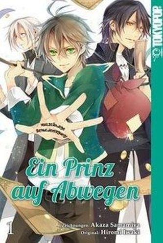 Ein Prinz auf Abwegen. Bd.1