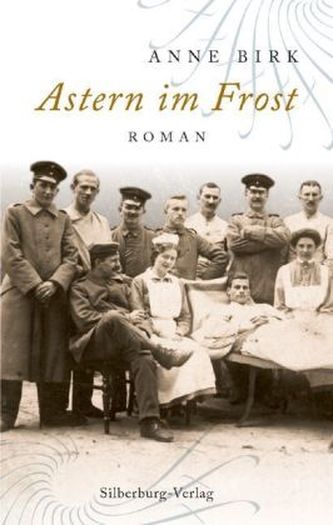 Astern im Frost Astern im Frost