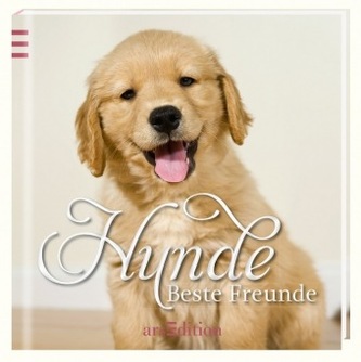Hunde - Beste Freunde