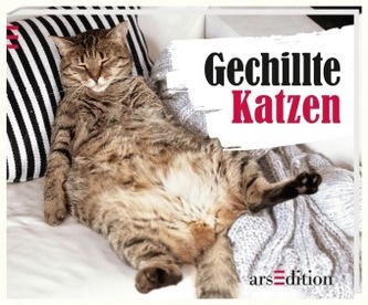 Gechillte Katzen