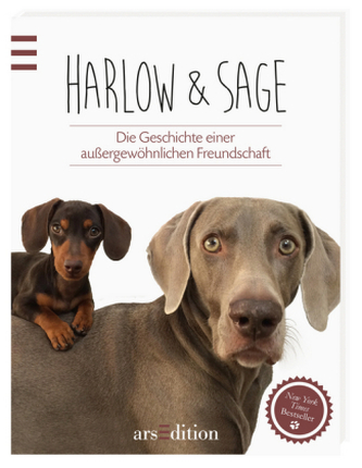 Harlow & Sage