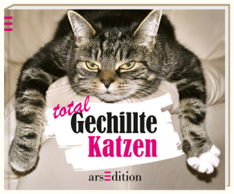 Total Gechillte Katzen
