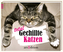 Total Gechillte Katzen