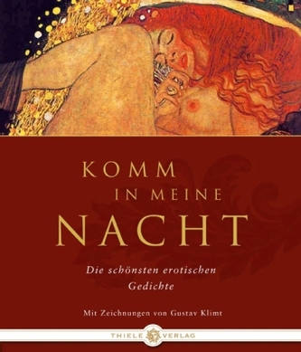 Komm in meine Nacht