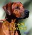 Rhodesian Ridgeback