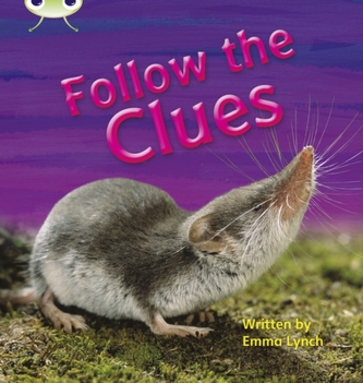Bug Club Phonics Non-fiction Set 18 Follow the Clues