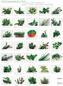 Küchenkräuter aus dem Garten und der freien Natur, Poster