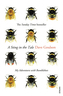 A Sting in the Tale. Und sie fliegt doch, englische Ausgabe