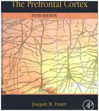 The Prefrontal Cortex