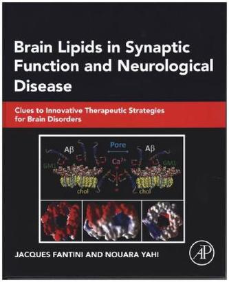 Brain Lipids in Synaptic Function and Neurological Disease