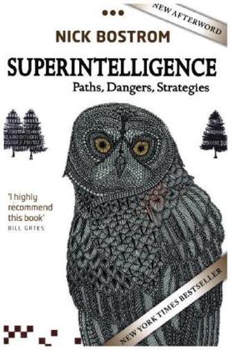 Superintelligence