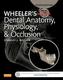 Wheeler's Dental Anatomy, Physiology and Occlusion