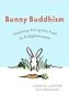 Bunny Buddhism. Der kleine Buddha-Hase, englische Ausgabe