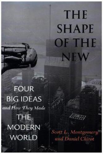 Shape of the New