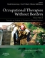 Occupational Therapies without Borders. Vol.2