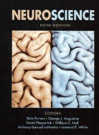 Neuroscience