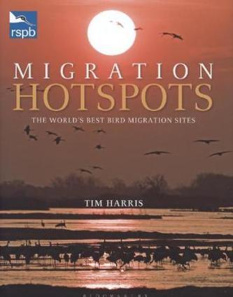 Migration Hotspots