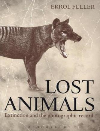 Lost Animals