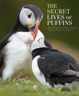 The Secret Lives of Puffins