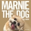 Marnie The Dog