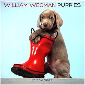William Wegman Puppies 2017, Wall Calendar