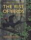 The Rise of Birds