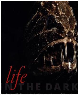 Life in the Dark