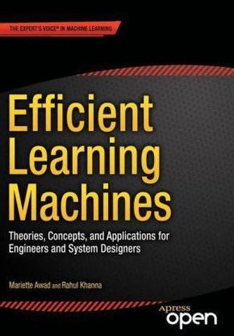 Efficient Learning Machines