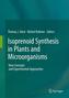 Isoprenoid Synthesis in Plants and Microorganisms