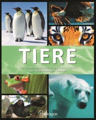 Tiere