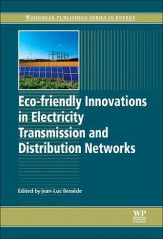 Eco-friendly Innovation in Electricity Transmission and Distribution Networks