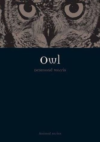 Owl. Eulen, englische Ausgabe