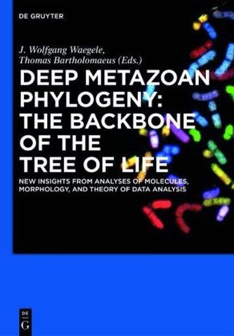 Deep Metazoan Phylogeny: The Backbone of the Tree of Life