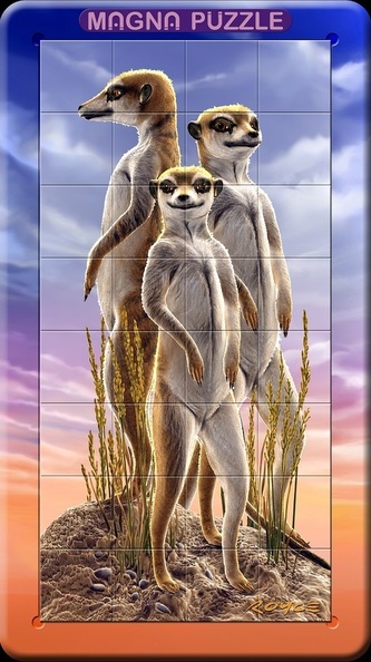 Puzzle 32 d. 3D Magnetické puzzle Surikaty