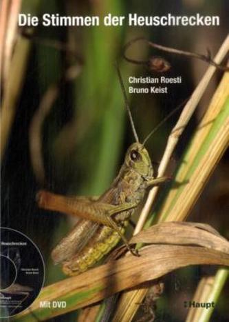 Die Stimmen der Heuschrecken, m. DVD