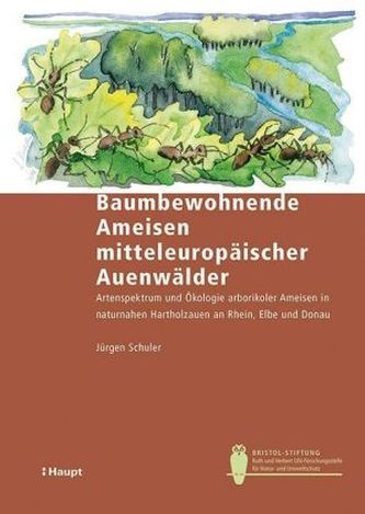 Baumbewohnende Ameisen mitteleuropäischer Auenwälder
