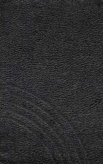 Standardausgabe in Leder (mit Goldschnitt) schwarz