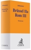 Rom III, Brüssel IIa, Kommentar
