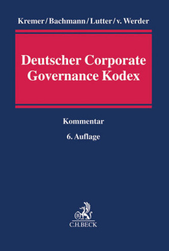 Deutscher Corporate Governance Kodex, Kommentar