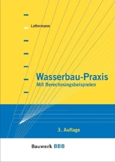 Wasserbau-Praxis