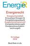 Energierecht (EnergieR)