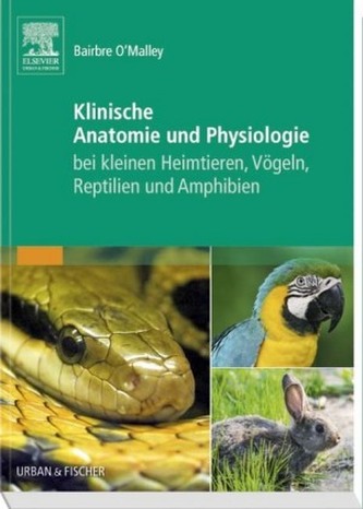 Klinische Anatomie und Physiologie bei kleinen Heimtieren, Vögeln, Reptilien und Amphibien