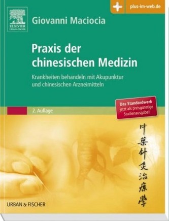 Praxis der chinesischen Medizin